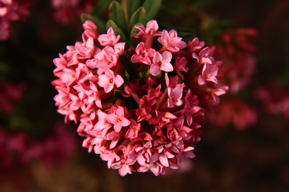 2011 05 01 IMG 30330
